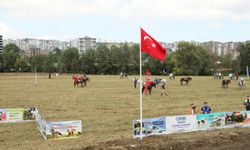 Samsun'da Rahvan At Yarışları Festivali düzenlendi