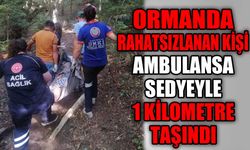 Ormanda rahatsızlanan kişi ambulansa sedyeyle 1 kilometre taşındı