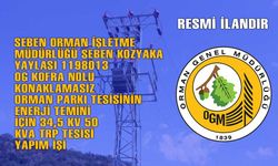 SEBEN ORMAN İŞLETME MÜDÜRLÜĞÜ SEBEN KOZYAKA YAYLASI ENERJİ TEMİNİ İÇİN 34,5 KV 50 KVA TRP TESİSİ YAPIM İŞİ