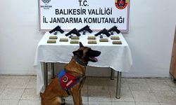 Bomba köpeği 'Vaha' kaçak silahları buldu