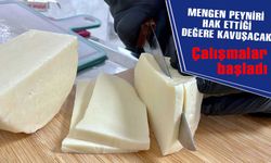 Bolu'nun asırlık Mengen Peyniri, hak ettiği değere kavuşacak