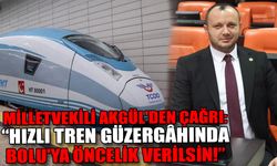 Milletvekili Akgül:  “Yüksek hızlı tren Bolu'dan geçmeli”