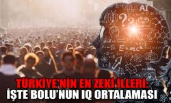 Türkiye'nin en zeki illeri: işte Bolu’nun IQ ortalaması