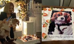 Köpeğinin doğum gününü böyle kutladı