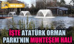 Yenilenen Atatürk Orman Parkı büyük beğeni topluyor