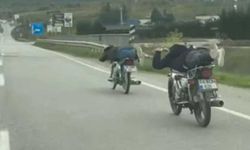 Ölümle böyle dans ettiler: Motosikletin üzerinde tehlikeli yolculuk