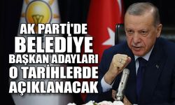AK Parti'de belediye başkan adayları o tarihlerde açıklanacak