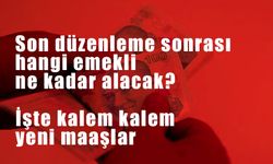 Son düzenleme sonrası hangi emekli ne kadar alacak? İşte kalem kalem yeni maaşlar