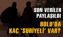 Bolu'da kaç Suriyeli var?