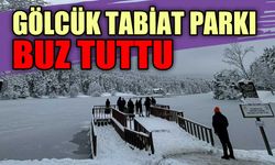 Gölcük Tabiat Parkı buz tuttu