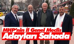 MHP’nin İl Genel Meclis Adayları Sahada