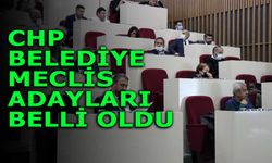 CHP Belediye Meclisi aday üye listesi belli oldu