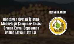 Dörtdivan Orman İşletme Müdürlüğü Çampınar Geçici Orman Emval Deposunda Orman Emvali İstif İşi