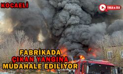 Kocaeli'de bir fabrikada çıkan yangına müdahale ediliyor
