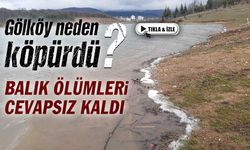 Bolu'nun içme ve kullanma suyu barajı Gölköy'de köpüklenme görüldü