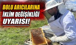 Bolu'nun arıları iklim krizine nasıl ayak uyduruyor?