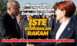 Akşener'den Cumhurbaşkanı Erdoğan'a çağrı