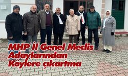 MHP İl Genel Meclis Adaylarından köylere çıkartma