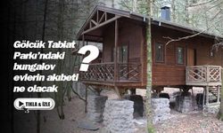 Gölcük Tabiat Parkı'ndaki bungalov evlerin akıbeti ne olacak?