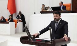 Milletvekili Şahin, 'Ceza Muhakemesi Kanunu' hakkında TBMM’de Genel Kurula seslendi