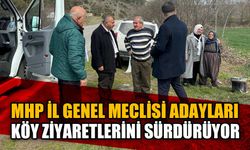 MHP İl Genel Meclisi adayları köy ziyaretlerini sürdürüyor