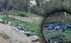 Bolu'da ormanlık alandaki çöp yığınları fotoğraflandı