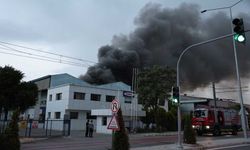 İzmir’de iki ayrı fabrika yangını müdahale sürüyor