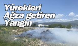 Bolu’da yürekleri ağza getiren yangın!