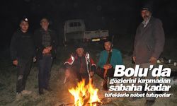 Bolu’da çiftçilerden tüfekli nöbet
