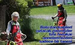 Bolu’dan kalpleri ısıtacak görüntüler çocuklarına hem annelik hem babalık yapıyor