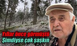 Yıllar önce görmüştü, şimdiyse çok şaşkın