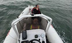 Sapanca Gölü'nde mahsur kalan 2 kişi AFAD ekiplerince kurtarıldı