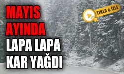 MAYIS AYINDA LAPA LAPA KAR YAĞDI