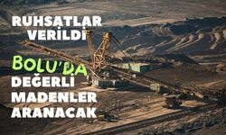 Bolu'da 2 sahaya maden arama ruhsatı verildi