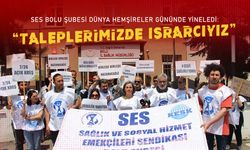 SES Bolu Şubesi: "Taleplerimizde ısrarcıyız"