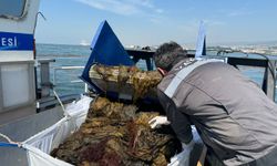 izmit Körfezi'nde 16 yılda yaklaşık 8 bin metreküp deniz çöpü toplandı