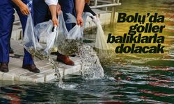 Bolu’da göller balıklarla dolacak