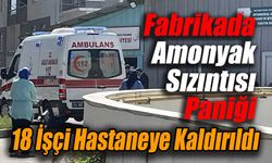 Bolu'da Amonyak Gazı Sızıntısı: 18 İşçi Hastaneye Kaldırıldı