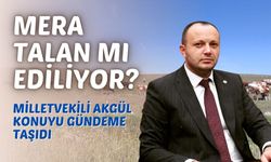 Milletvekili Akgül, köylünün mera çağrısına kulak verdi