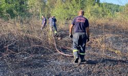 Kocaeli'de ağaçlık alan yandı: 10 hektar küle döndü