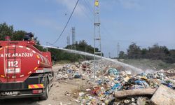 Bartın'da sinek ve larva mücadelesi sürüyor