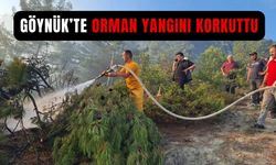Göynük’te ormanlık alanda çıkan yangın korku dolu anlar yaşattı!