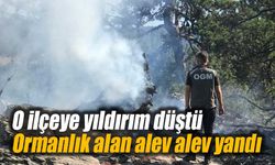 Bolu'da o ilçeye yıldırım düştü