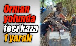 Bolu'da orman yolunda feci kaza:1 yaralı