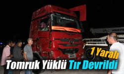 Bolu'da Tomruk Yüklü Tır Devrildi:1 yaralı