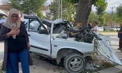 Otomobil ağaca saplandı