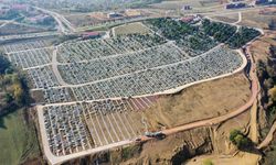 Kent Mezarlığı'nda yeni alanlar oluşturuluyor