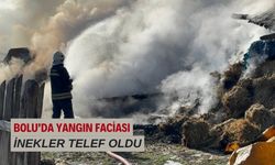 Samanlık ve ahır küle döndü: 3 büyükbaş telef oldu, 17'si kurtarıldı