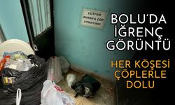 Her katı ayrı bir çöplük