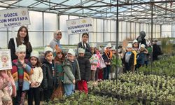 Enerji dostu mavi yeşil okul